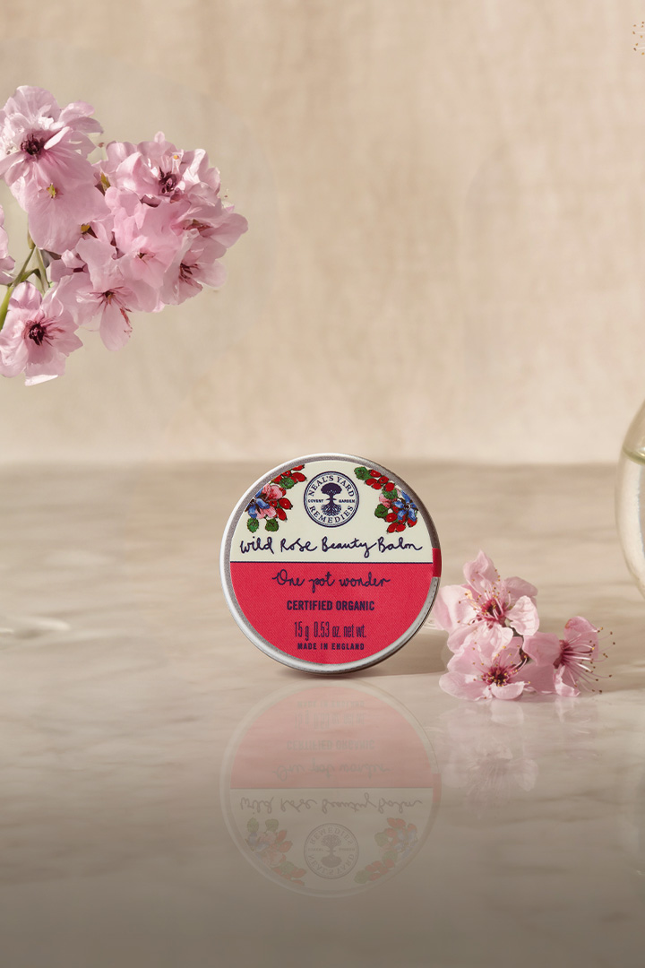 Wild Rose Beauty Balm Tin