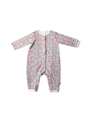 애쉬본 딧시 우주복