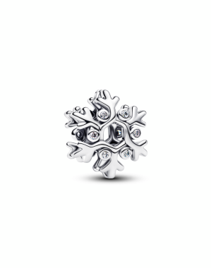 스노우플레이크 참