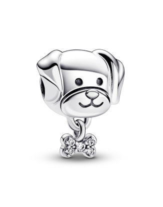 펫 도그 & 본 참